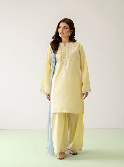 Fully Embroidered Dhanak 3-Piece — Printed Shawl Edit